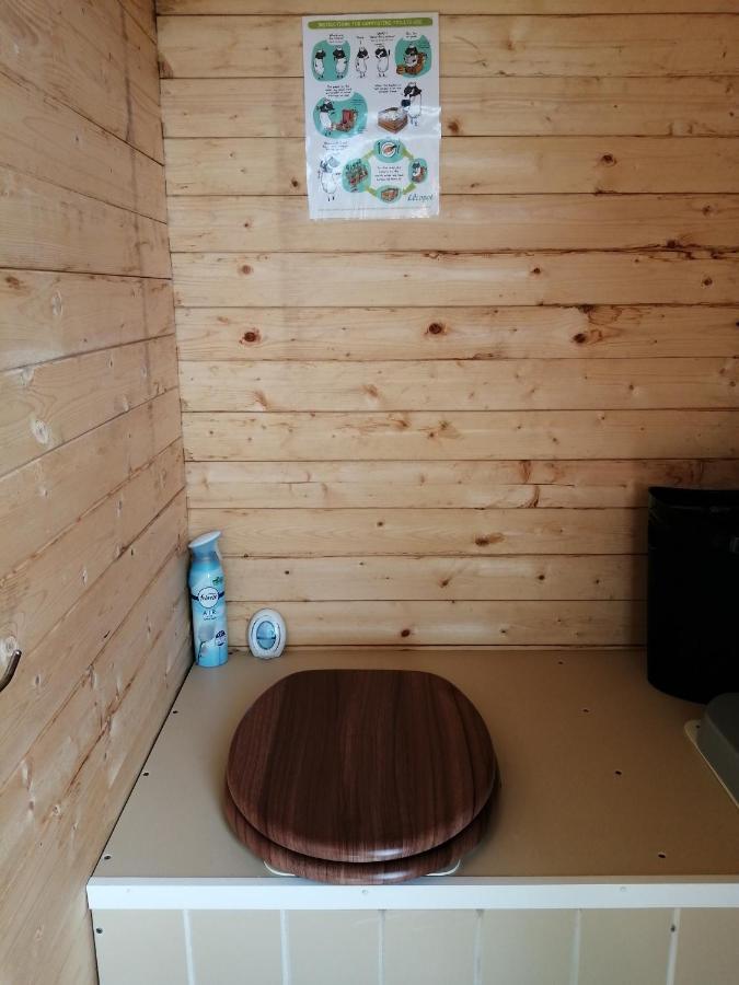 Coed Y Brenin Retreat - Bell Tent Glamping Near Aberaeron Ciliau Aeron Экстерьер фото
